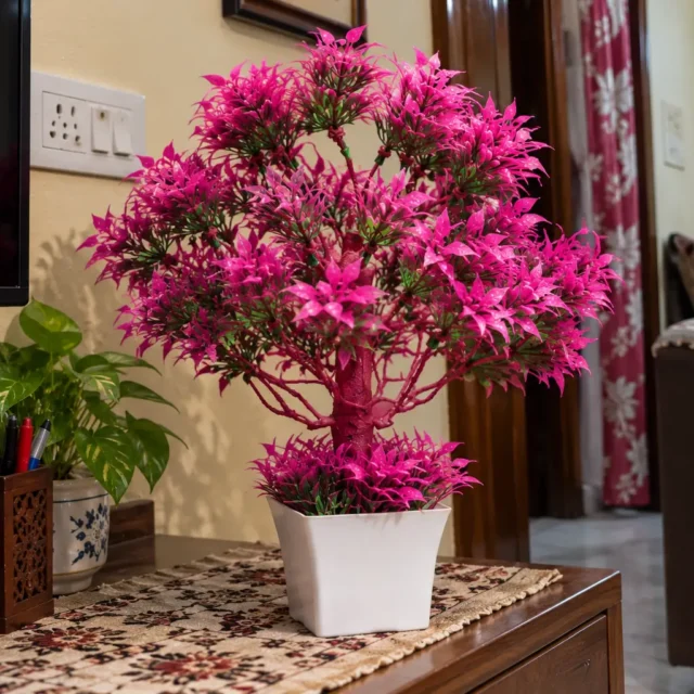 AARAYANA Gulmohar Rasa Luxe
